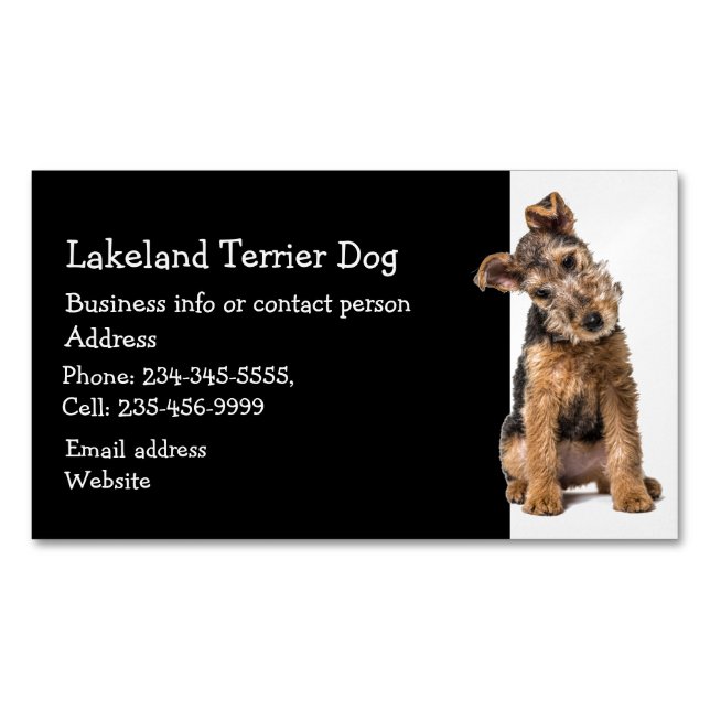 Lakeland Terrier Dog Züchter Sitter Magnetische Visitenkarte (Vorderseite)
