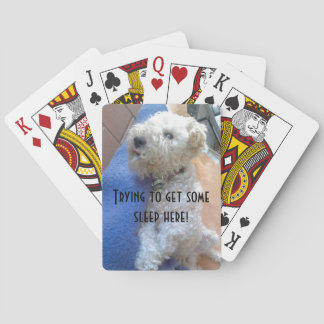 Lakeland Terrier Fahrradkarten Spielkarten