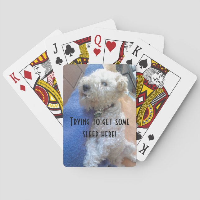 Lakeland Terrier Fahrradkarten Spielkarten (Rückseite)
