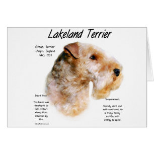 Lakeland Terrier History Design