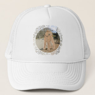 Lakeland Terrier im Stallhof Truckerkappe