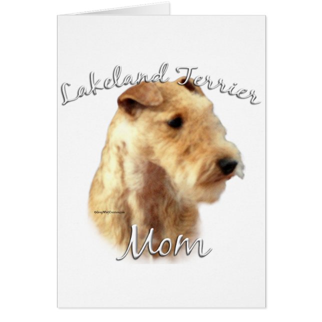 Lakeland Terrier Mama 2 (Vorne)