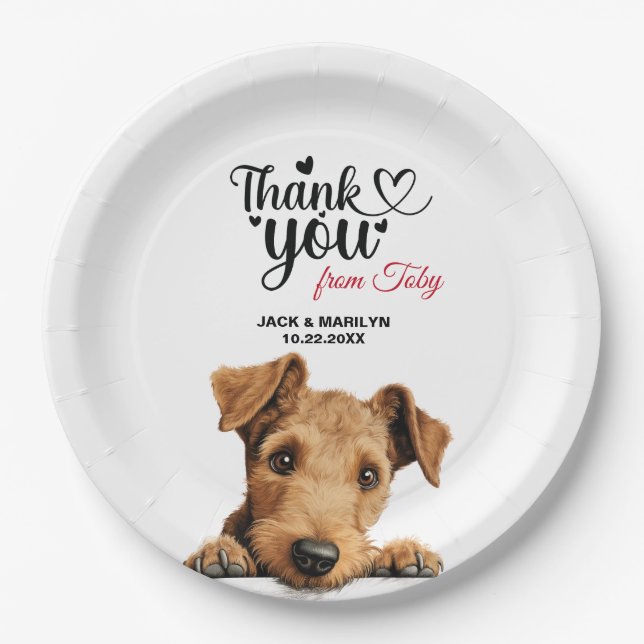 Lakeland Terrier Pappteller (Vorderseite)