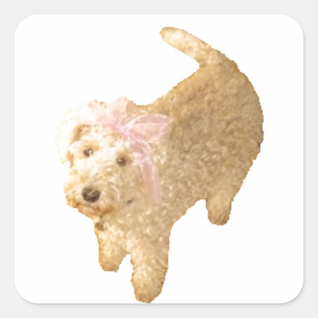 Lakeland Terrier Quadratischer Aufkleber (Vorderseite)