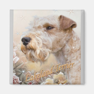 Lakeland-Terrier unter Rosenmagneten Magnet