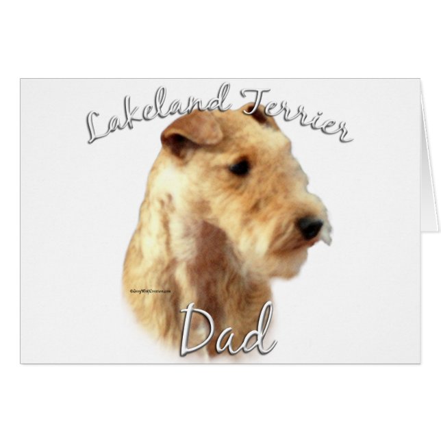 Lakeland Terrier Vater 2 (Vorderseite (Horizontal))
