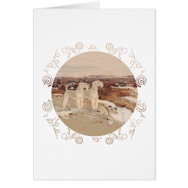 Lakeland Terriers November Days (Vorne)