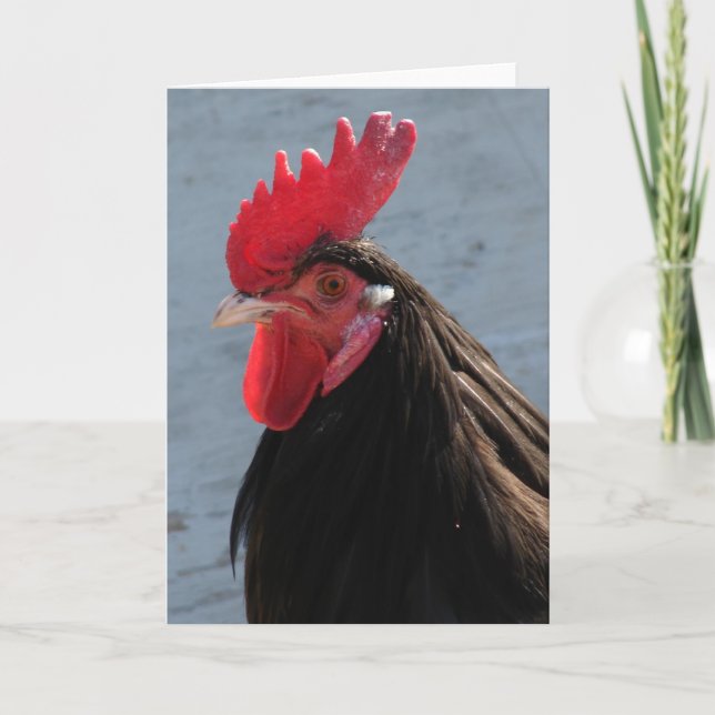 Lakenvelder-Rooster Karte (Vorderseite)