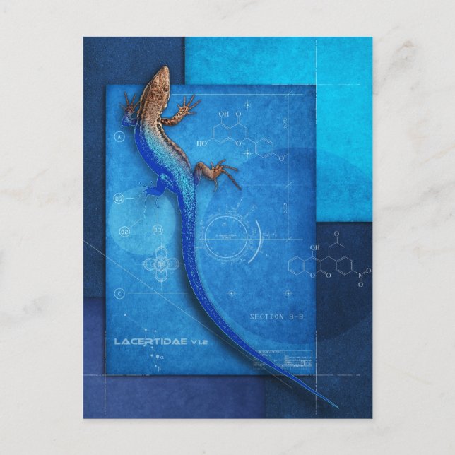 Lakertidae v1.2 postkarte (Vorderseite)