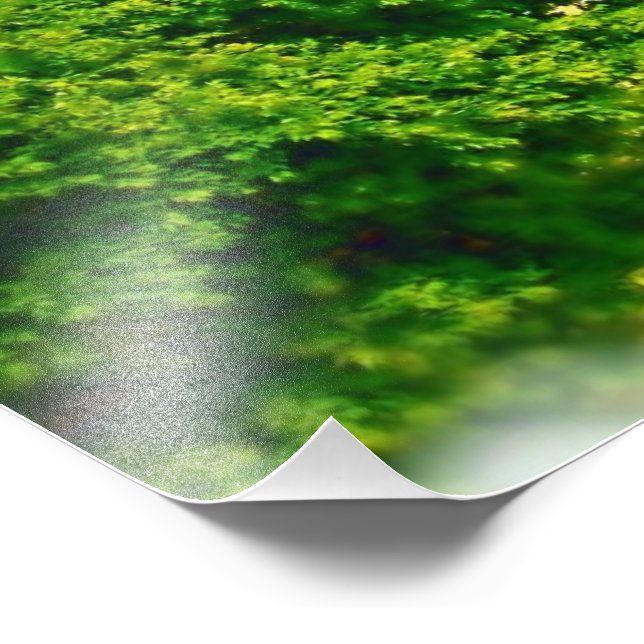 Lakeshores am Strand von Chicago Fotodruck (Ecke)