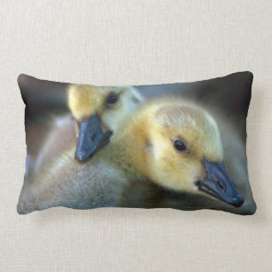 Lakeside Lendenkissen