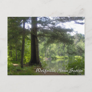 Lakeside Woodland Postkarte