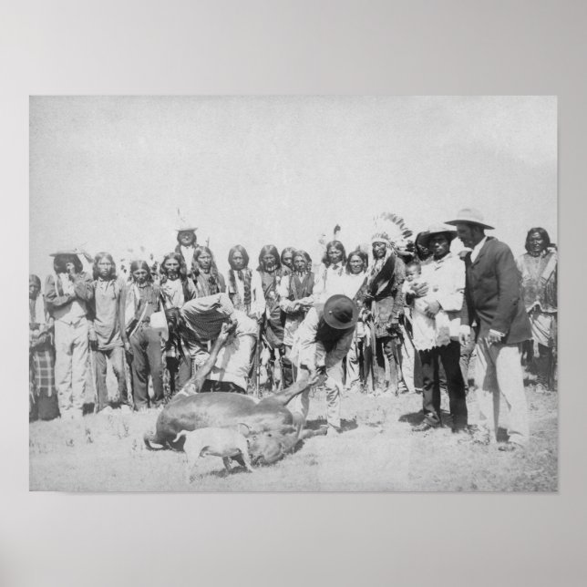 Lakota-Amerikanische Ureinwohner Rinderhautfotogra Poster (Vorne)