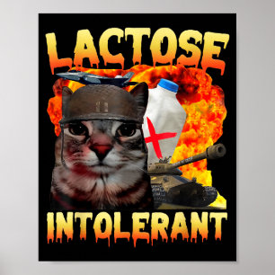 Laktoseintolerante alberne Katzen-Meme Lustiger Sp Poster