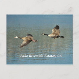 Lakw Riverside Anwesen, CA Postcard Postkarte