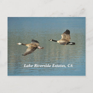 Lakw Riverside Estates, carte postale CA