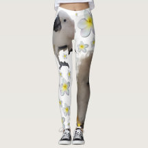 Lala Das Cockatoo Drei Posen und Plumerias