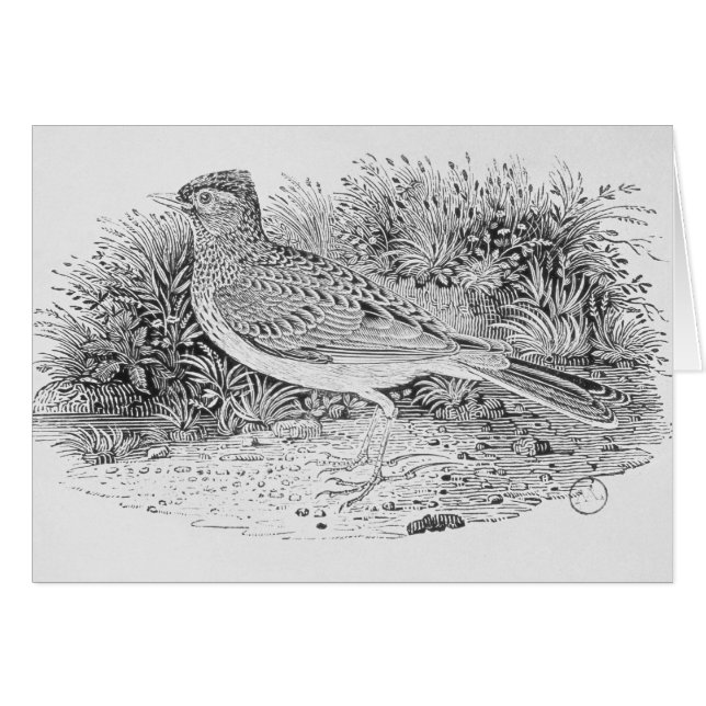 L'alouette (Devant horizontal)