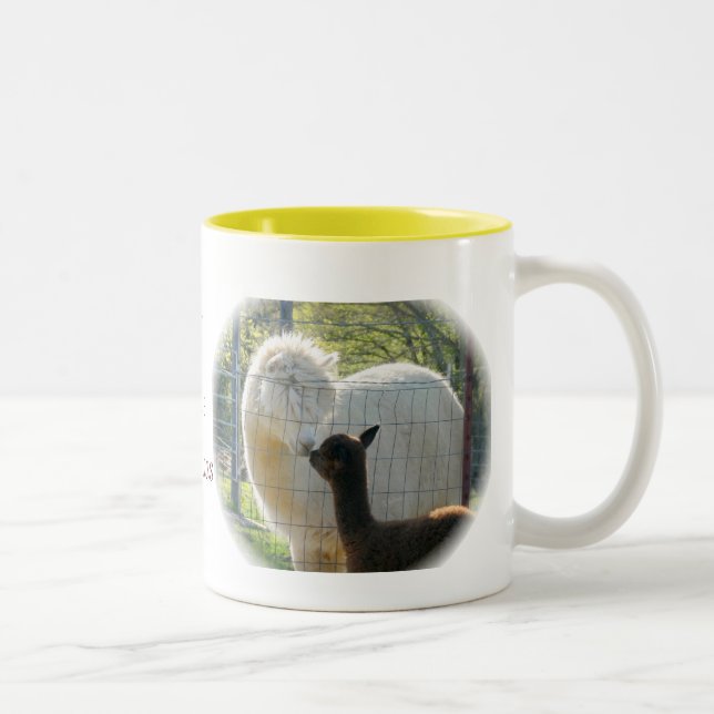 L'alpaga embrasse la tasse (Droit)