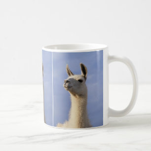 Lama auf Schutz Kaffeetasse