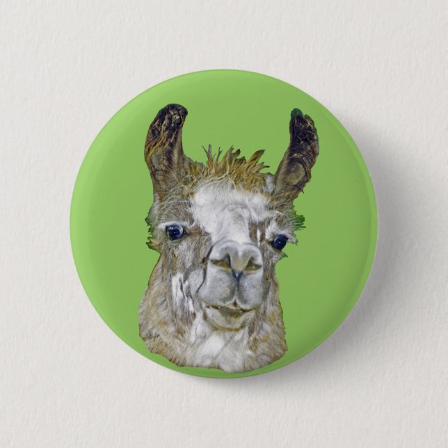 Lama-Bild Button (Vorderseite)