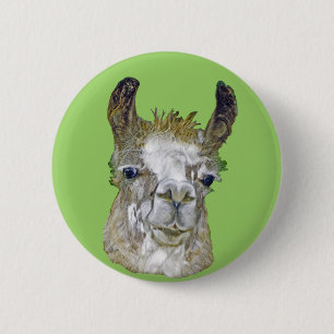 Lama-Bild Button