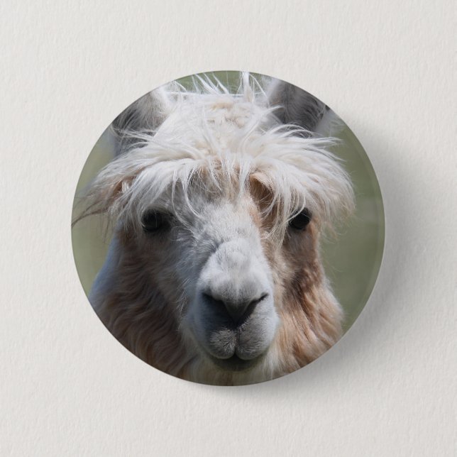 Lama Button (Vorderseite)