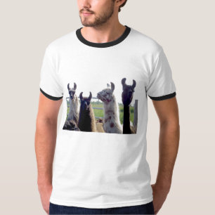 Lama geht T-Shirt voran