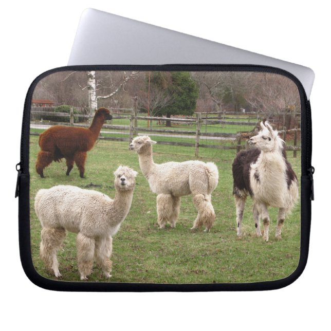 Lama-Gemisch ~ Laptop-Hülse Laptopschutzhülle (Vorderseite)