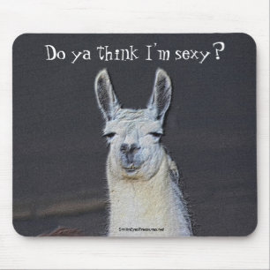 Lama-Gesichts-Digital-Kunst-humorvolles Foto Mousepad