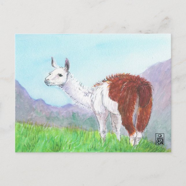Lama in den Anden Postkarte (Vorderseite)