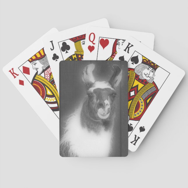 Lama in Schwarz-Weiß-Farm Spielkarten (Rückseite)