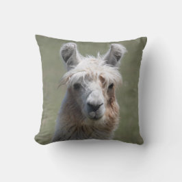 Lama-Kissen Kissen