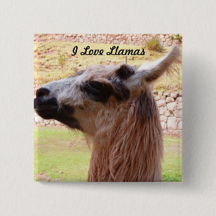 Lama-Knopf Button