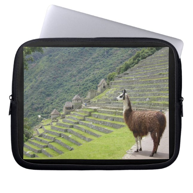 Lama Laptopschutzhülle (Vorderseite)