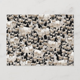 Lama, Llama Postkarte