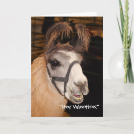 Lama Llove Valentinstag-Karte Feiertagskarte