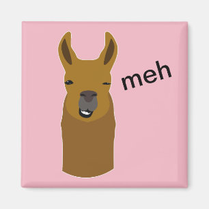 Lama-lustiges Gesicht Magnet