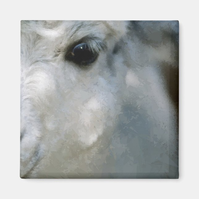Lama Magnet (Vorne)
