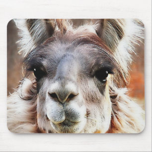 Lama Mousepad