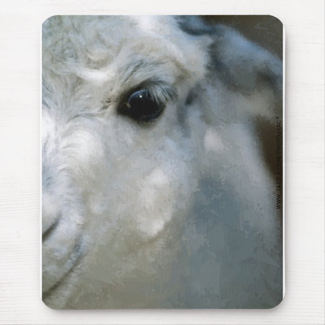 Lama Mousepad (Vorne)