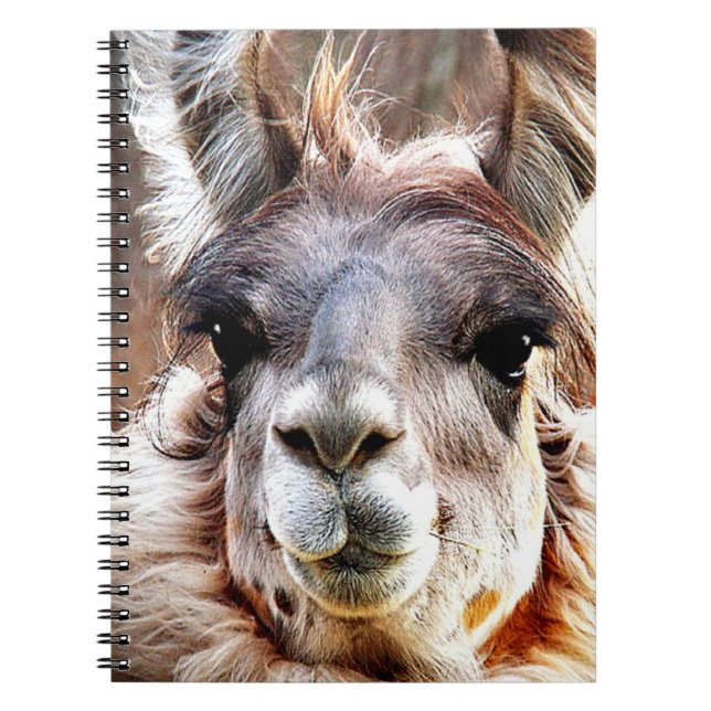 Lama Notizblock (Vorderseite)