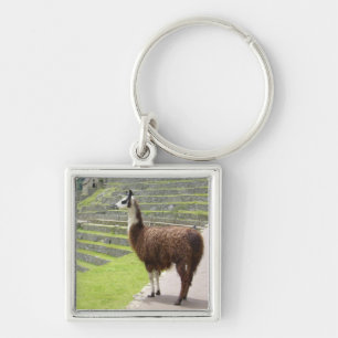 Lama peru schlüsselanhänger