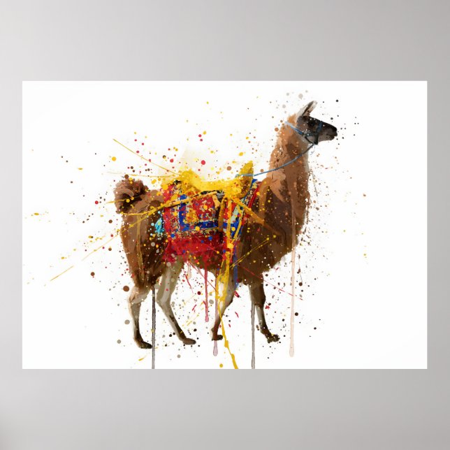 Lama Poster (Vorne)