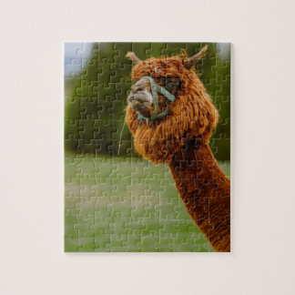 Lama-Puzzle