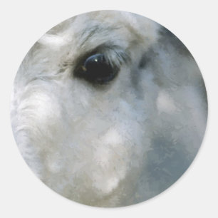 Lama Runder Aufkleber