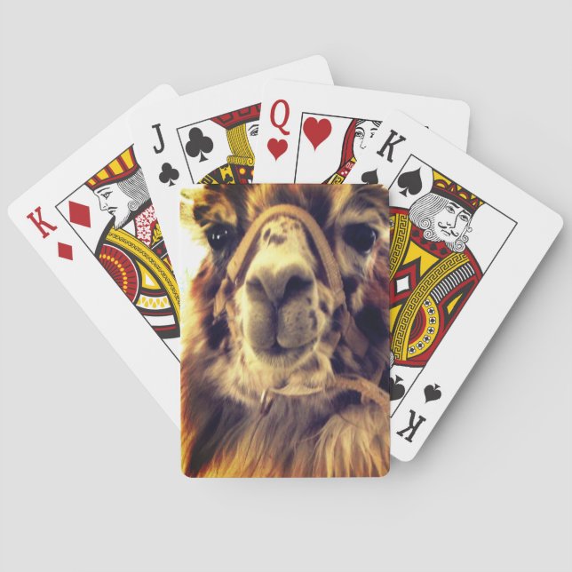 Lama-Spielkarten Spielkarten (Rückseite)