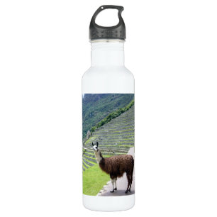 Lama Trinkflasche