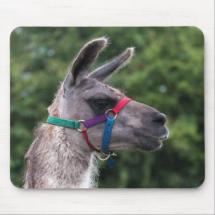 Lama-Überlegenheit Mousepad