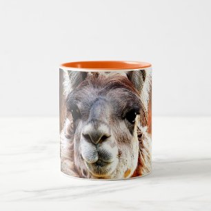 Lama Zweifarbige Tasse
